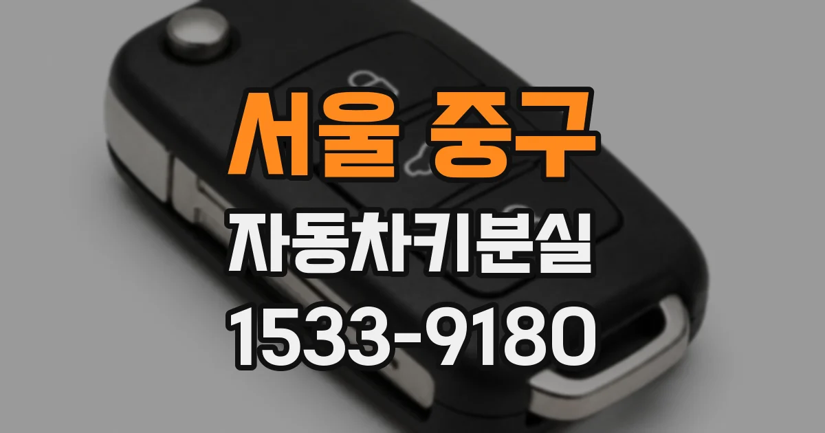 서울 중구 자동차키분실