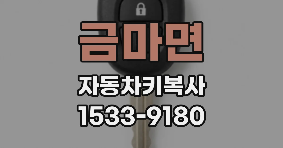금마면 자동차키복사