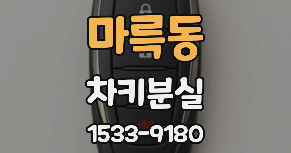 마륵동 차키분실