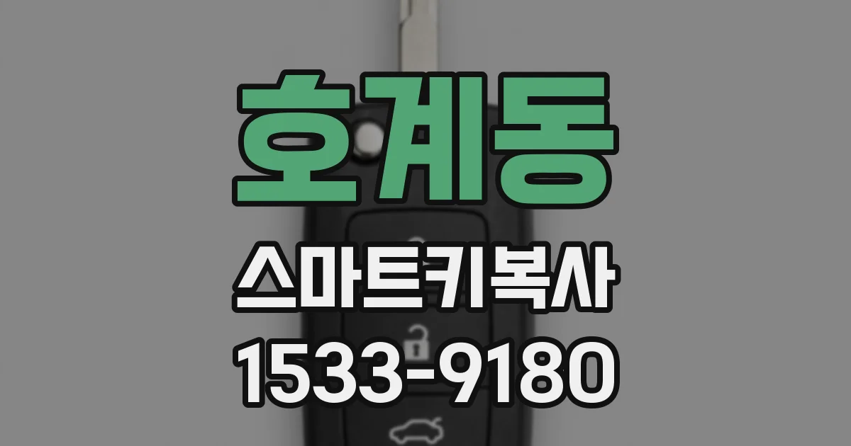 호계동 스마트키복사