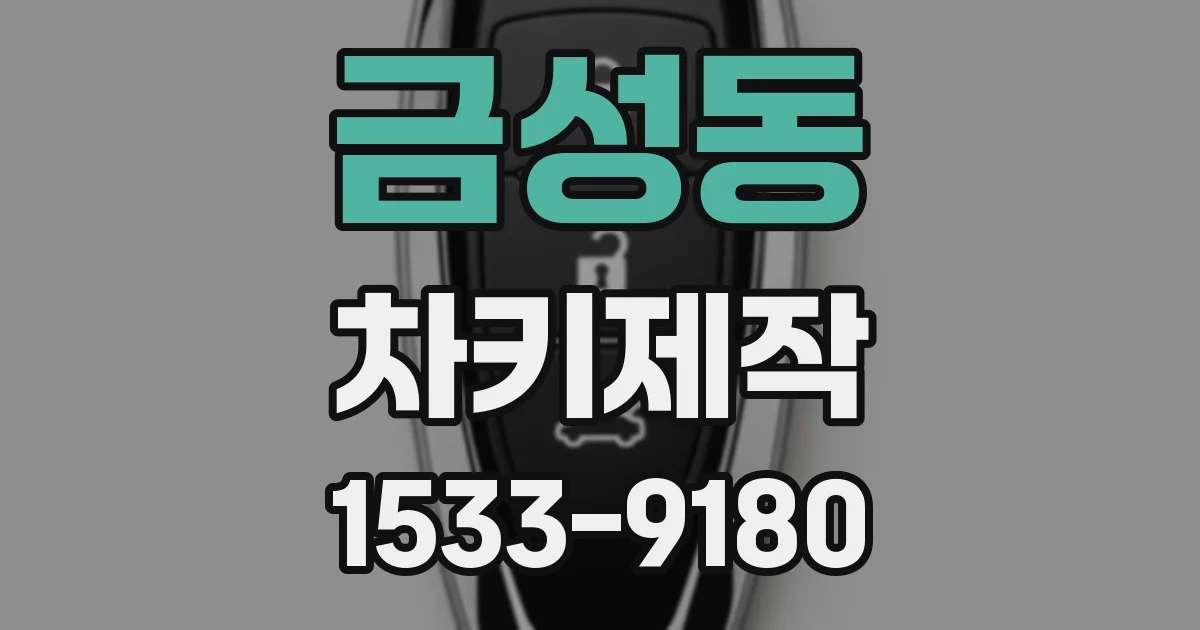 금성동 차키제작