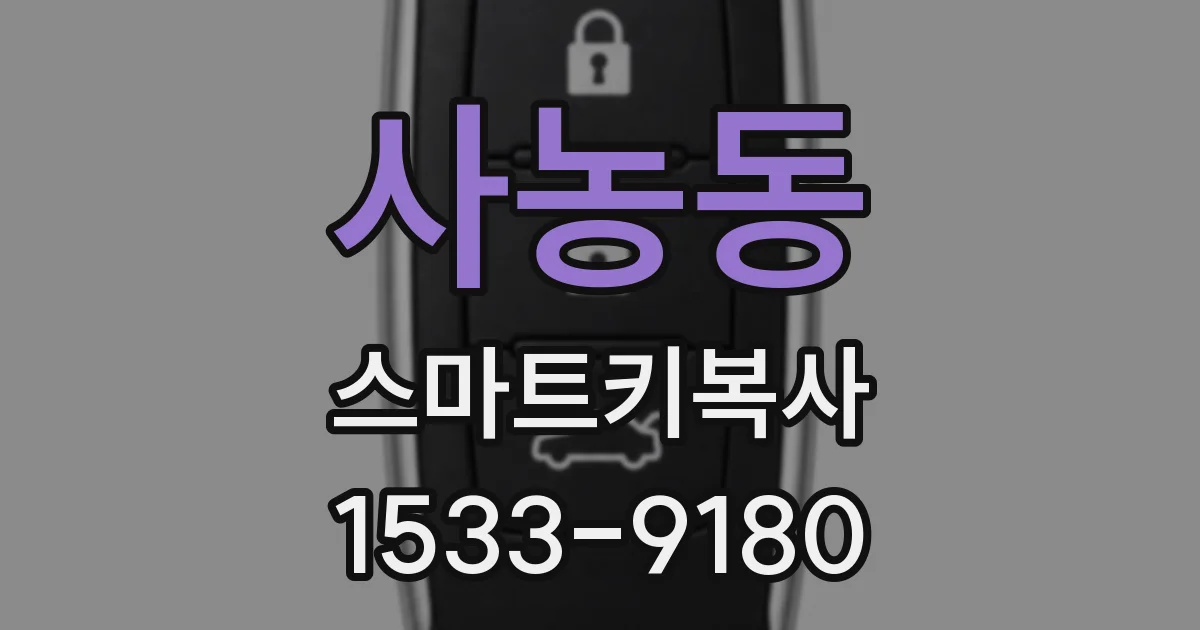 사농동 스마트키복사