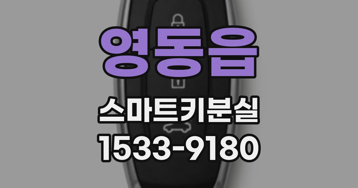 영동읍 스마트키분실