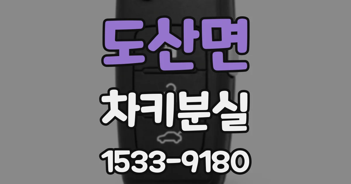 도산면 차키분실