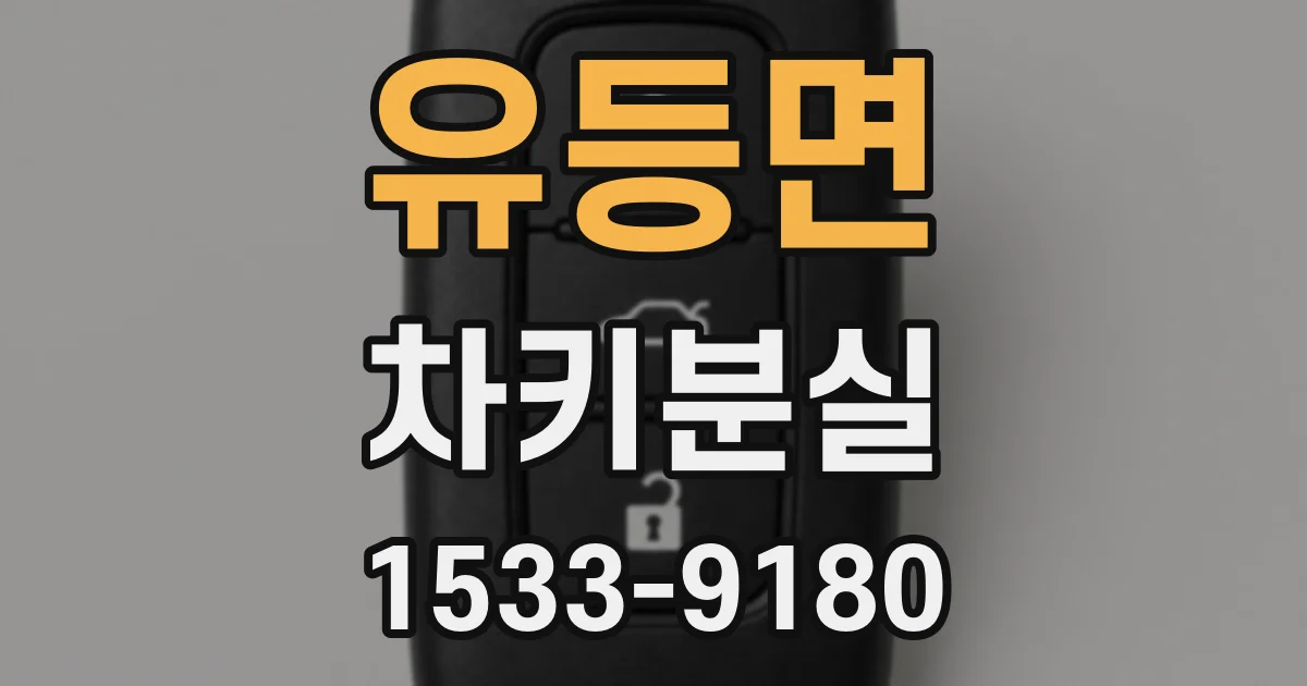 유등면 차키분실