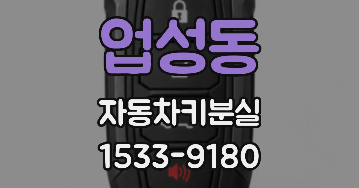 업성동 자동차키분실