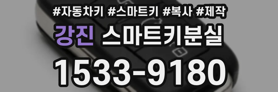 강진 스마트키분실