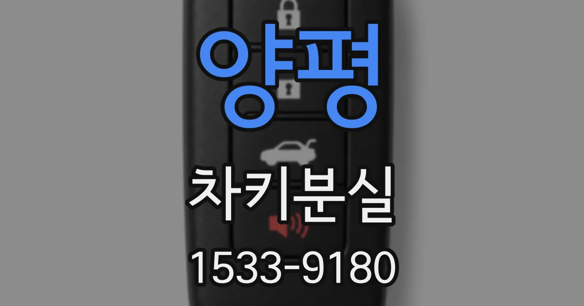양평 차키분실