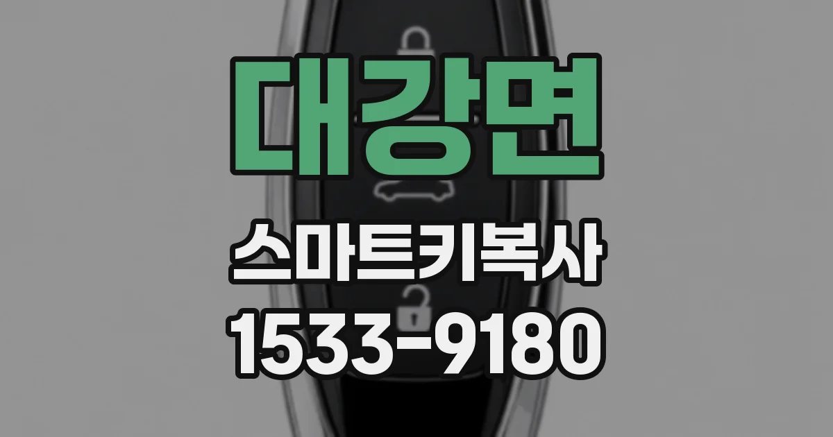 대강면 스마트키복사