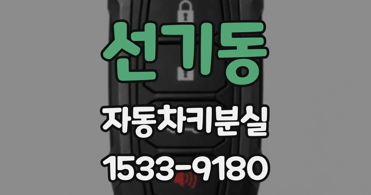 선기동 자동차키분실