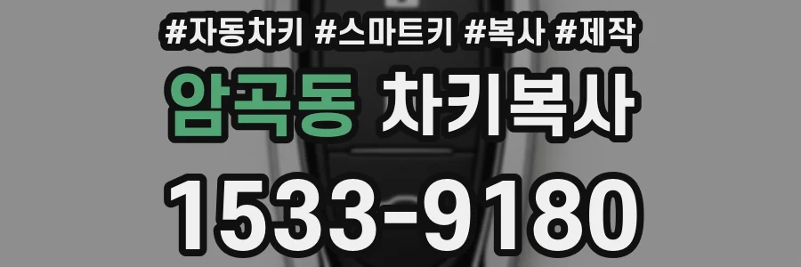 암곡동 차키복사
