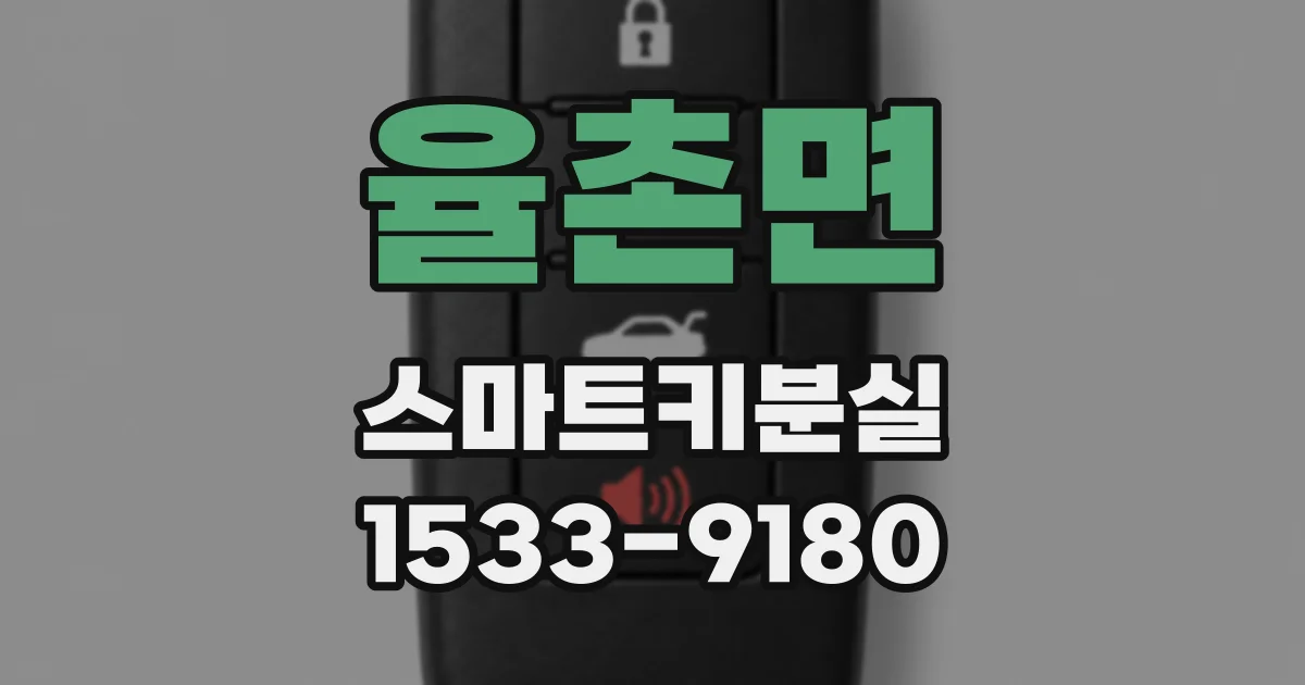 율촌면 스마트키분실
