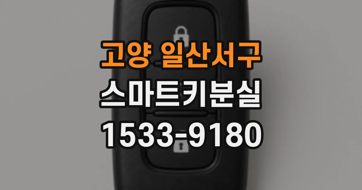 고양 일산서구 스마트키분실