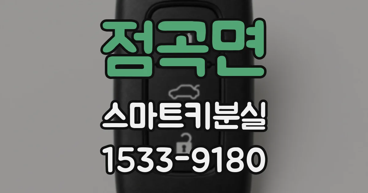 점곡면 스마트키분실