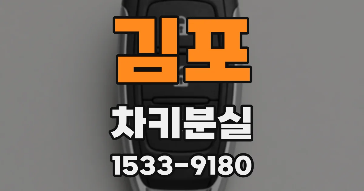 김포 차키분실