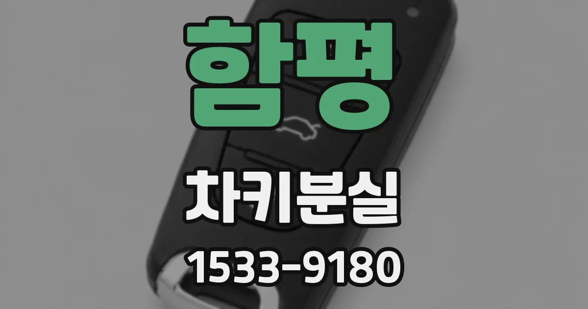 함평 차키분실