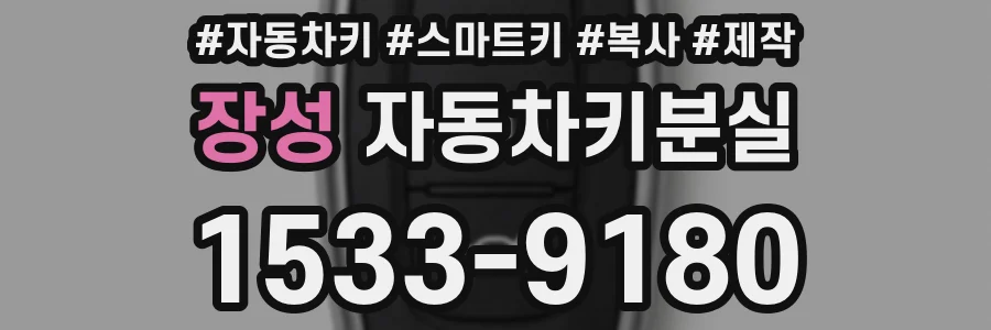 장성 자동차키분실