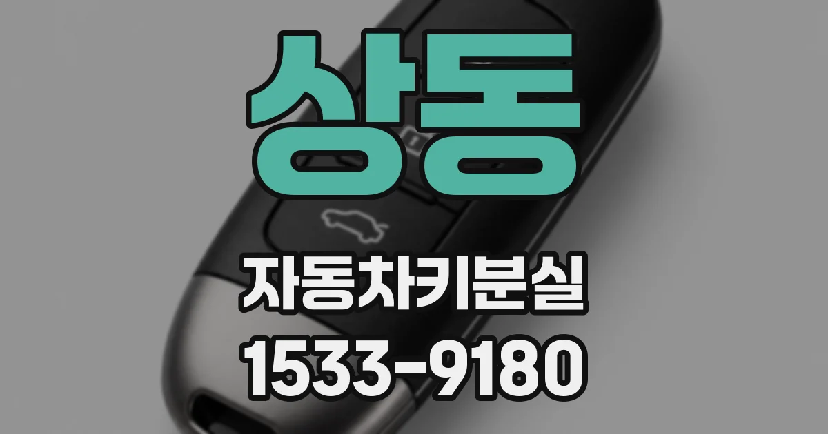 상동 자동차키분실