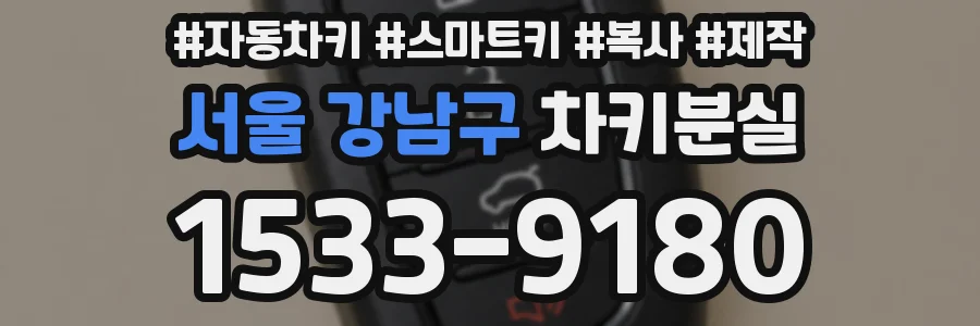 서울 강남구 차키분실