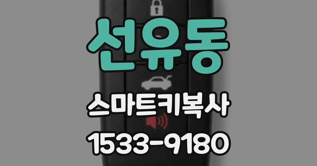선유동 스마트키복사