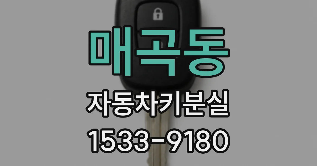 매곡동 자동차키분실