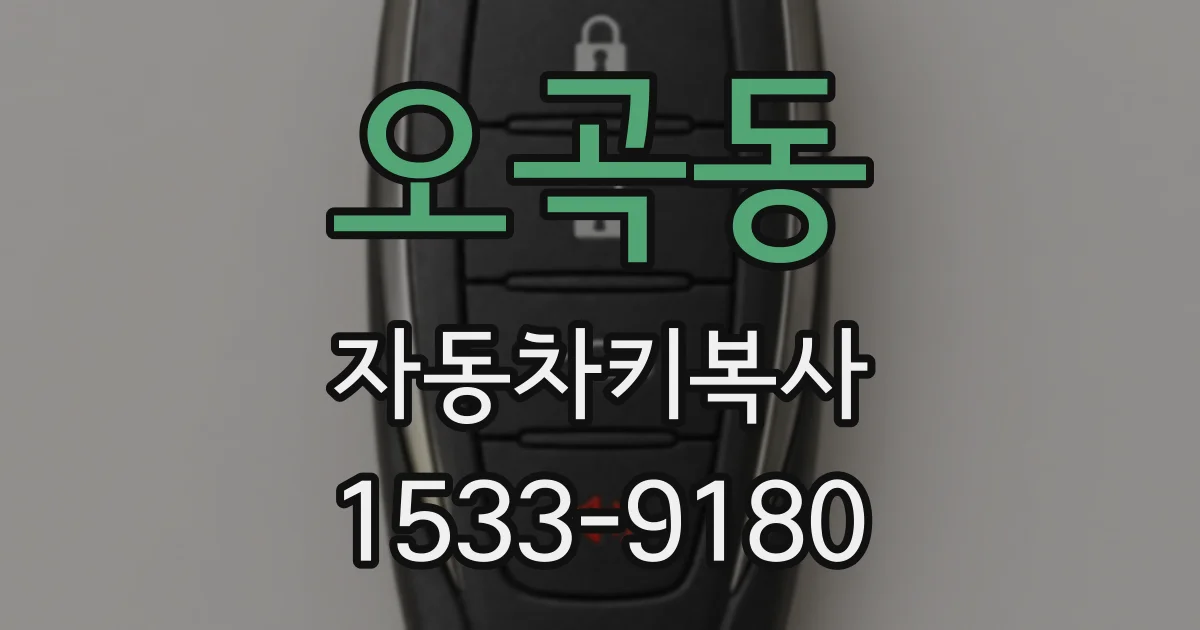 오곡동 자동차키복사