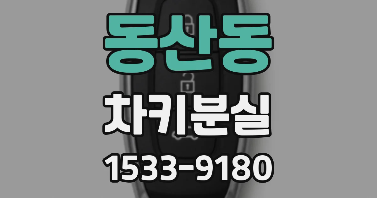 동산동 차키분실