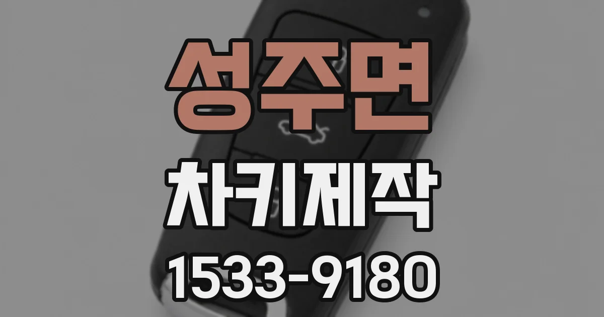 성주면 차키제작