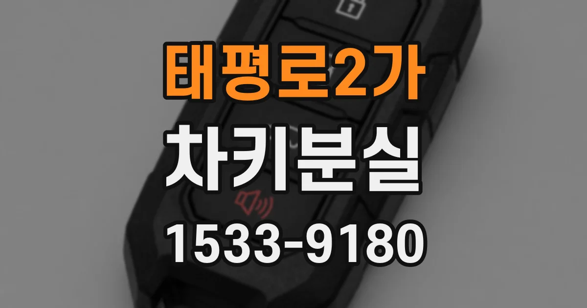 태평로2가 차키분실
