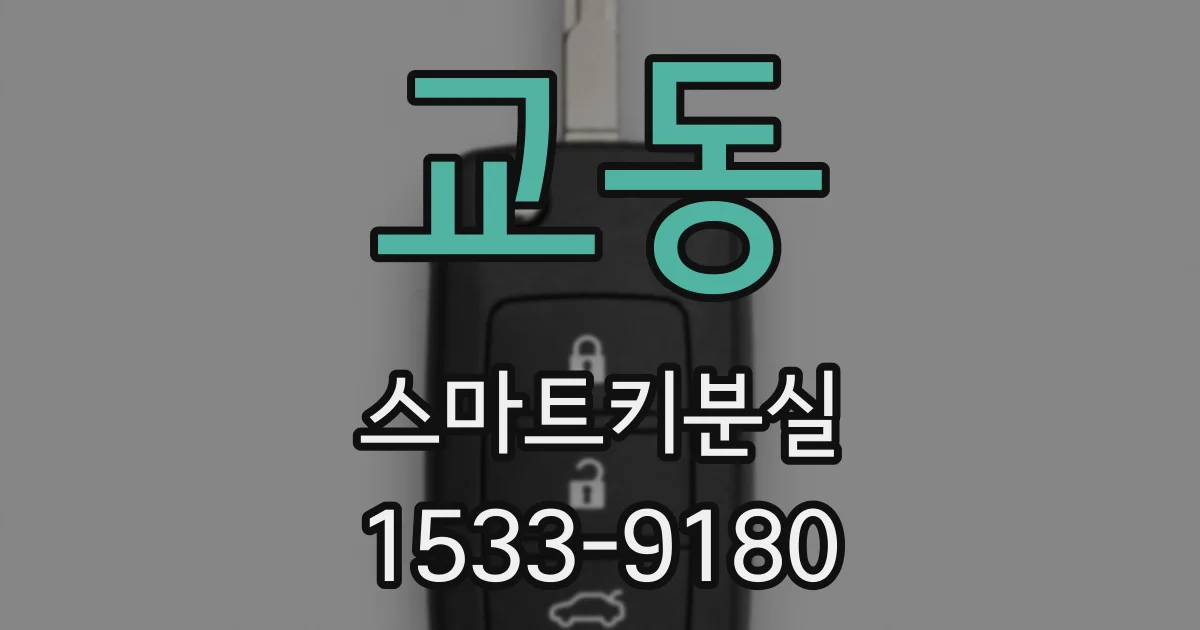 교동 스마트키분실