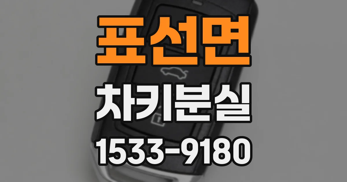 표선면 차키분실