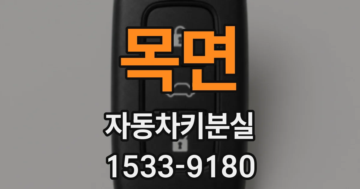 목면 자동차키분실
