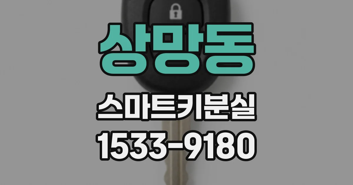 상망동 스마트키분실