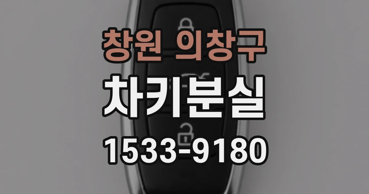 창원 의창구 차키분실