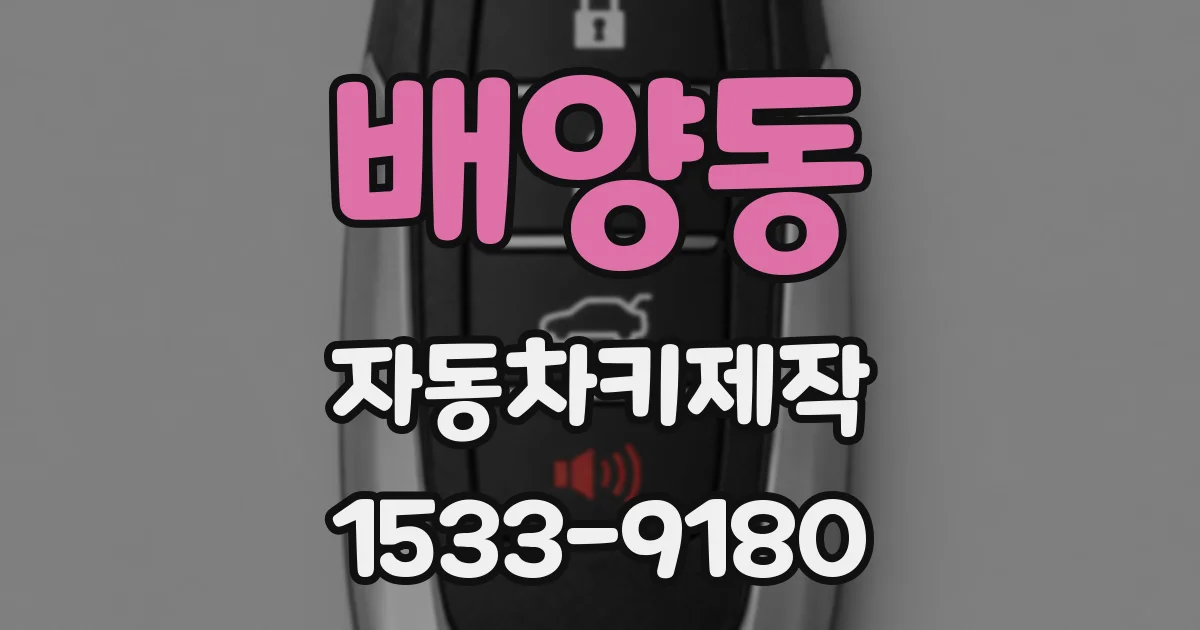 배양동 자동차키제작