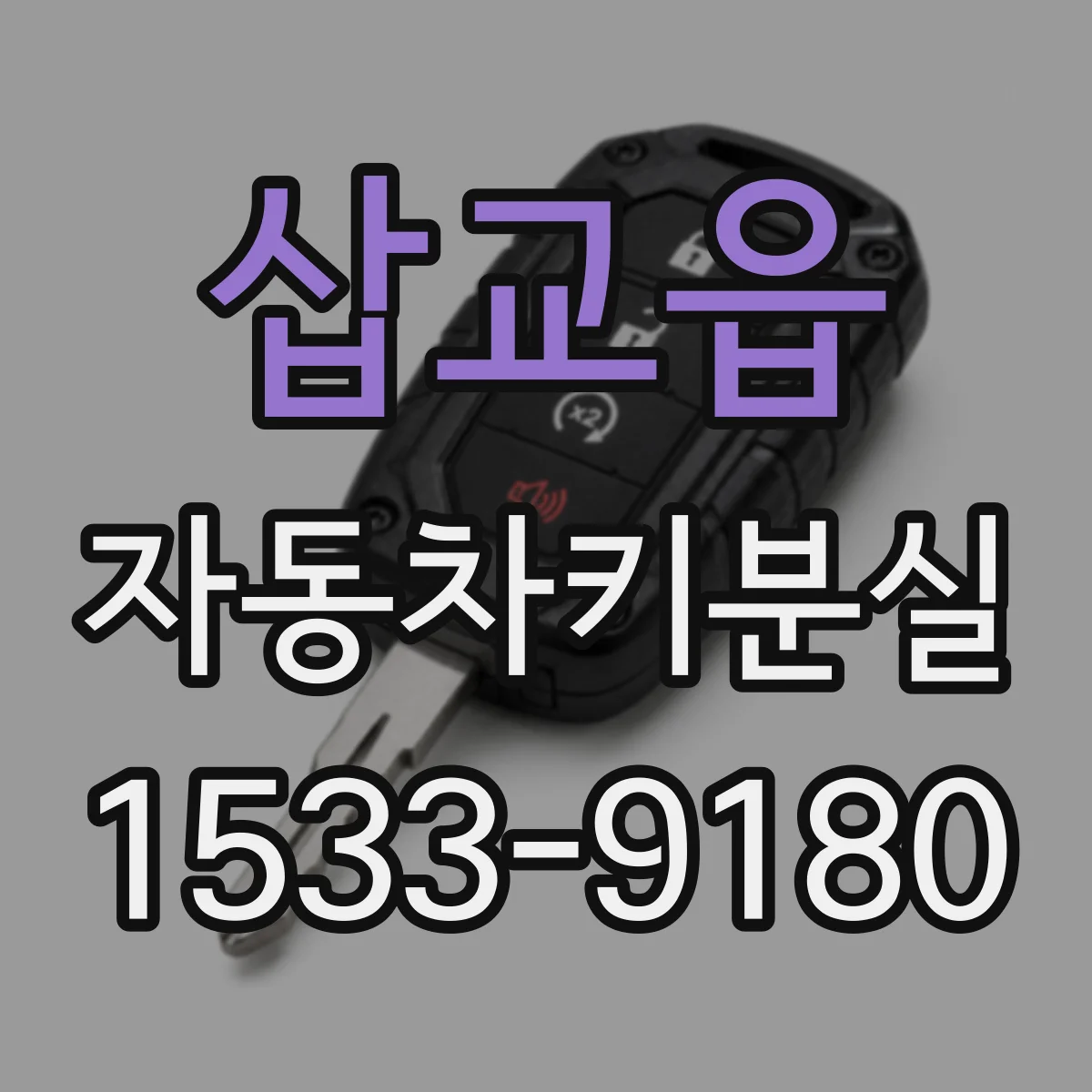 삽교읍 자동차키분실