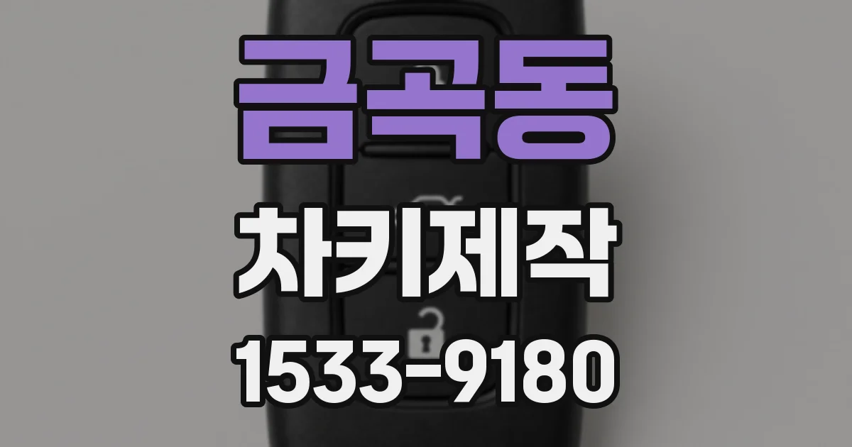 금곡동 차키제작