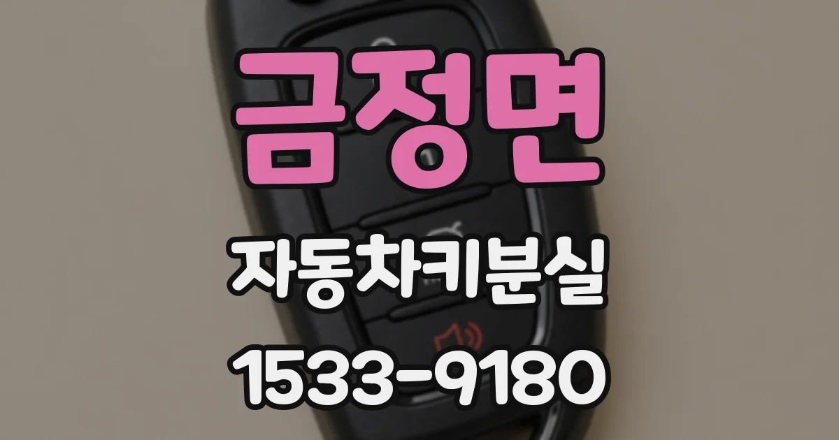 금정면 자동차키분실
