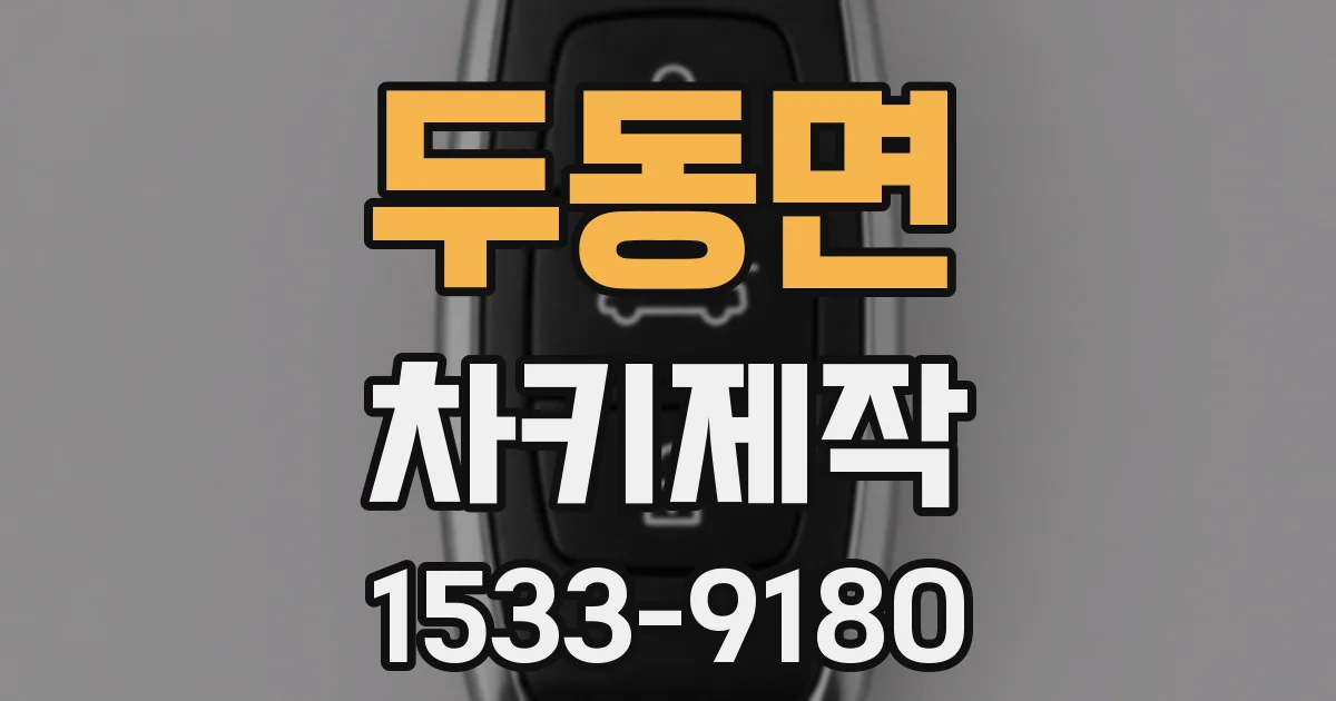 두동면 차키제작