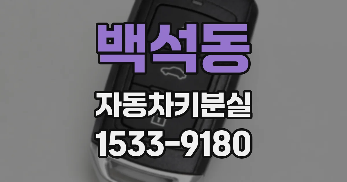백석동 자동차키분실