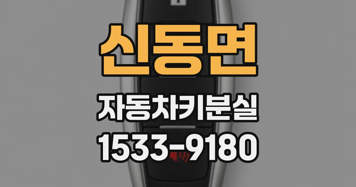 신동면 자동차키분실