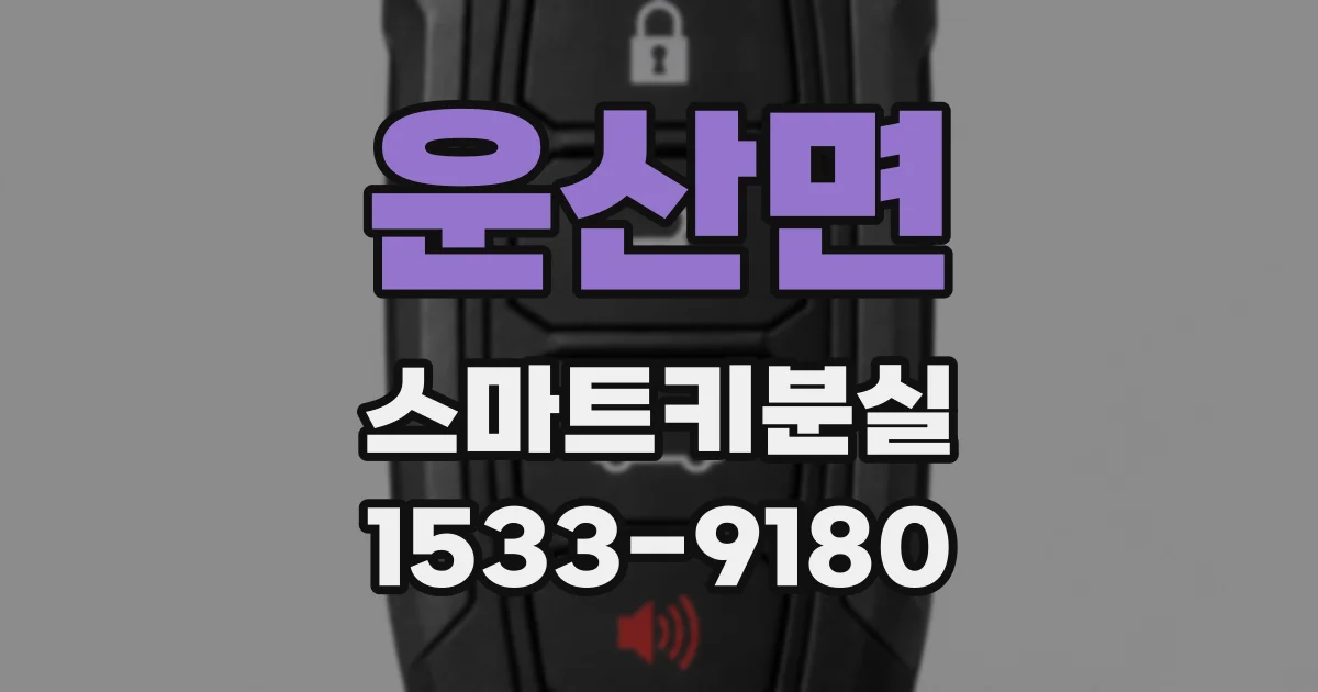 운산면 스마트키분실