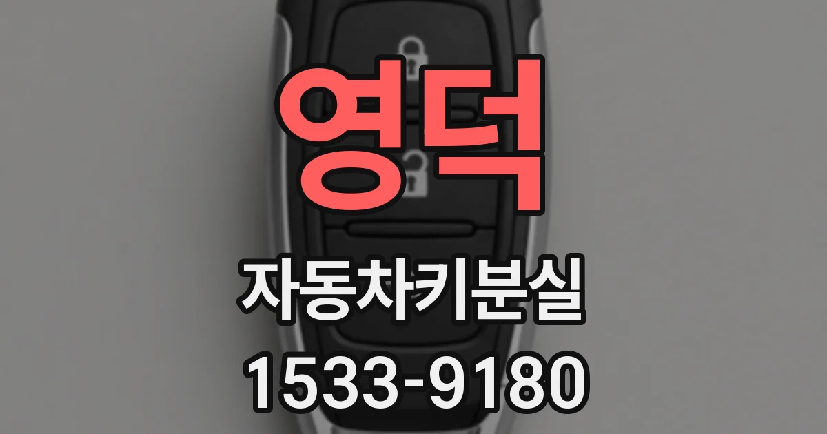 영덕 자동차키분실