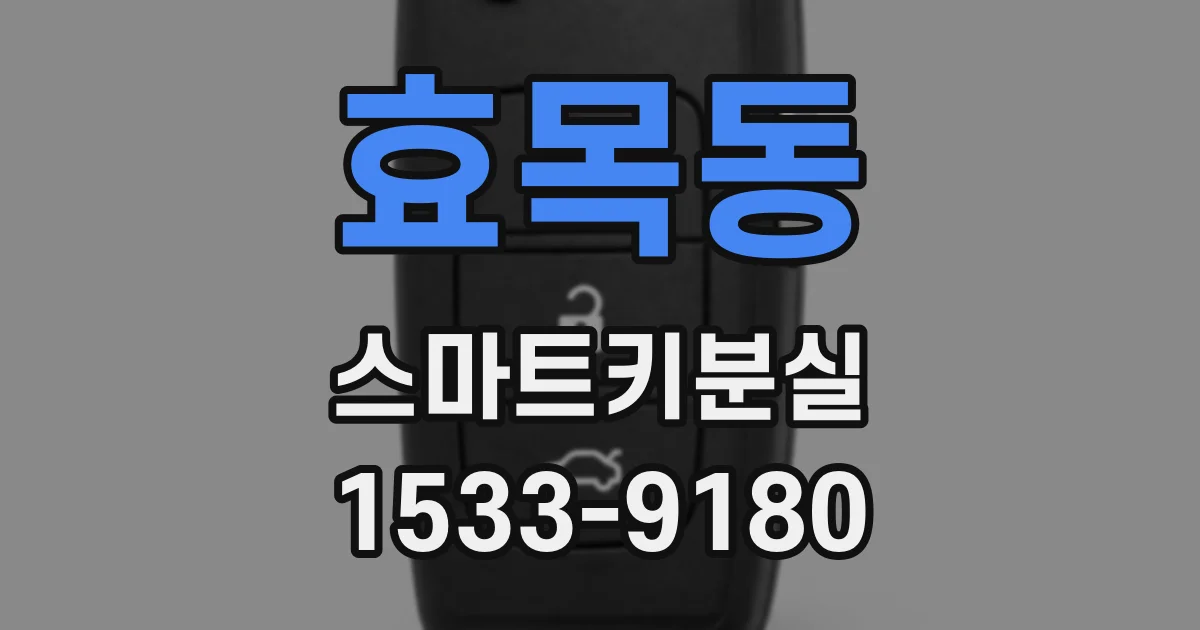 효목동 스마트키분실