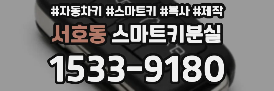서호동 스마트키분실