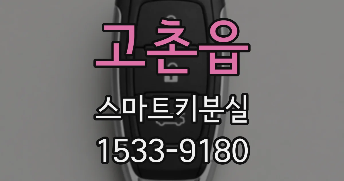 고촌읍 스마트키분실