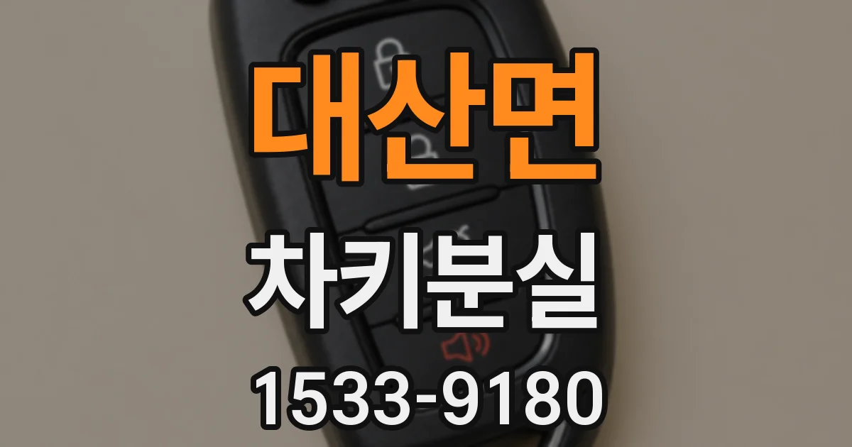 대산면 차키분실