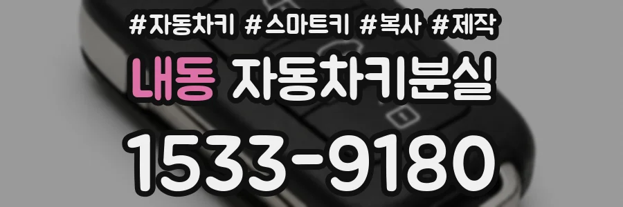 내동 자동차키분실