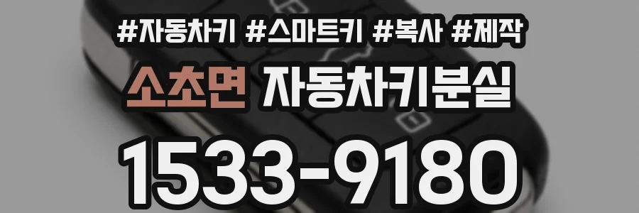 소초면 자동차키분실