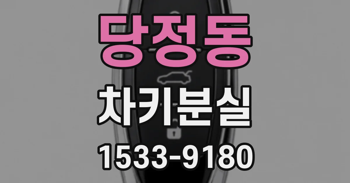 당정동 차키분실
